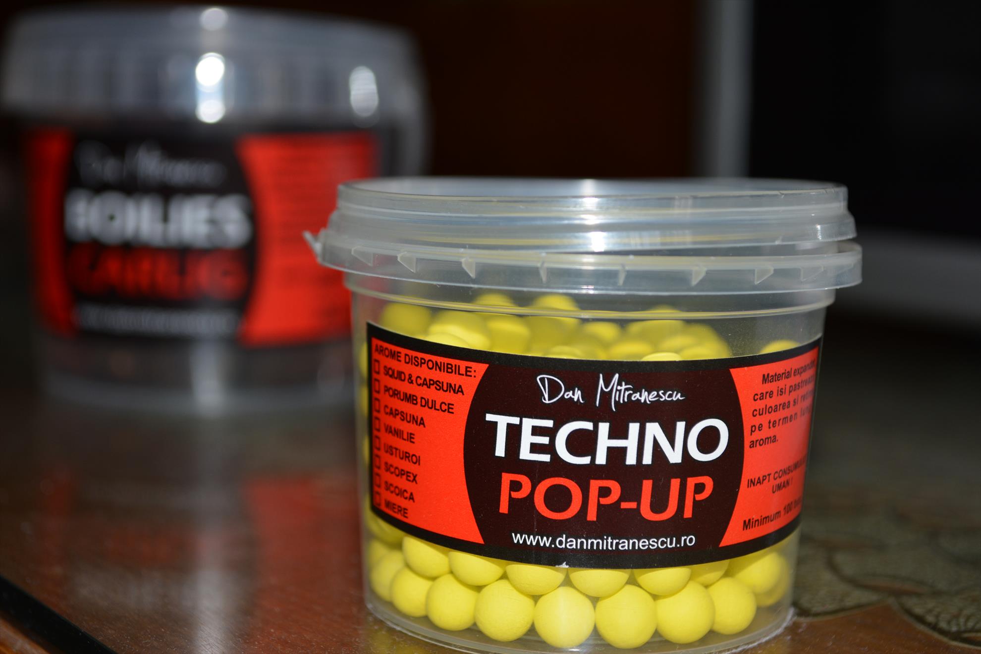 Pregatiri pentru concurs - dsc0012.JPG